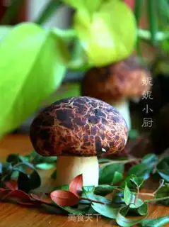Make Simulation of mushroom packs step 13