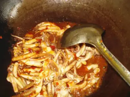 Make Squid step 2