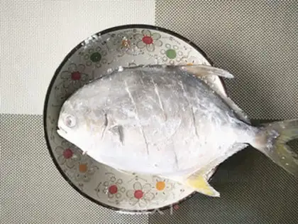 Make A gillfish step 2