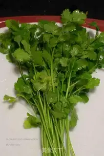 Make A fragrance salad step 0