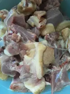 Make The mushroom magic duck step 1