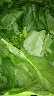 Make Garlic spinach step 0
