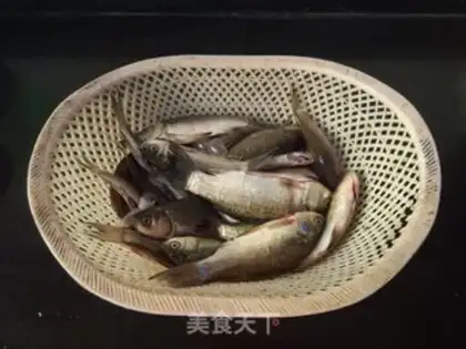 Make The gustfish step 0