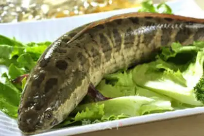 Make Spicy white and black fish step 0