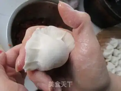 Make Lamb carrot dumplings step 6