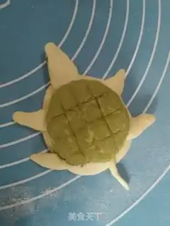 Make Oogway step 8