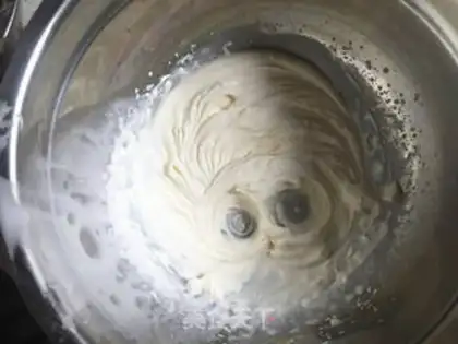 Make Montblanc step 11