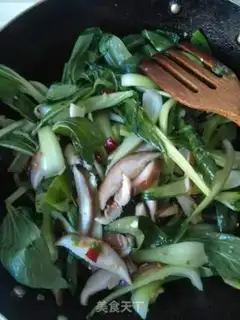 Make The ground is fresh step 8