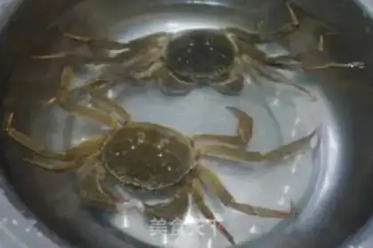 Make ♪ Vacuate the crabs ♪ step 0