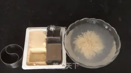 Make ♪ Tofu ♪ step 11