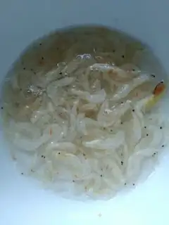 Make Shrimp-skin pie step 0