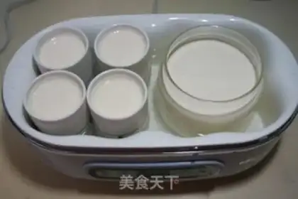 Make Homemade yogurt step 3