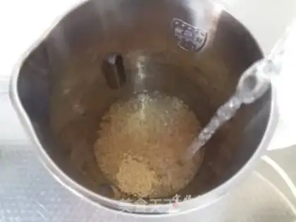 Make Wheat sprouts step 3