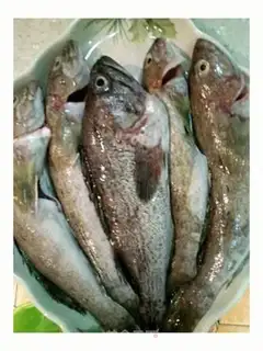 Make Home-breeded fish step 0