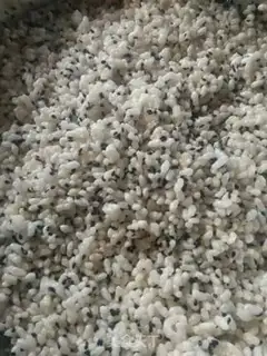 Make Homemade sesame nectar step 9