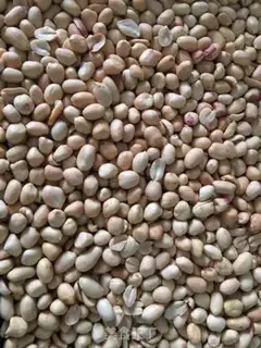 Make The peanut sugar step 1