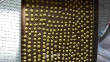 Make Sour soybeans step 4