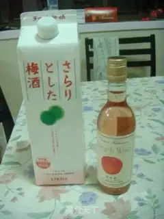 Make step 17