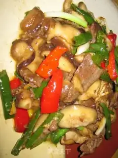 Make step 5