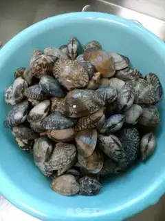 Make Iron clams and chickens step 1