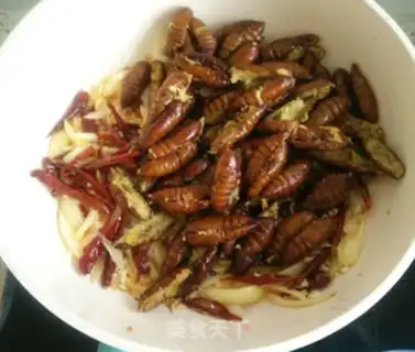 Make Dry ricin step 9