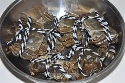 Make Crabs step 0