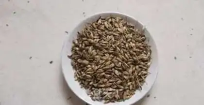 Make ♪ Mountain malt appetizer ♪ step 0