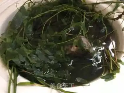 Make Chicken weeds and pigs step 6