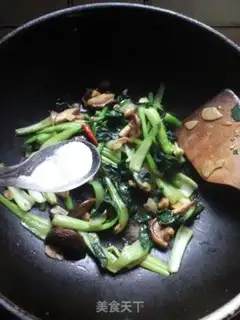 Make Mushroom oil step 8