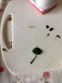 Make Frog under the well step 4