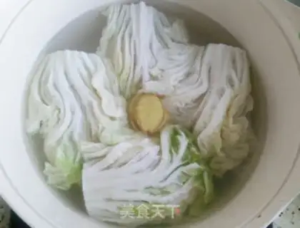 Make Clean up the lion