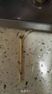 Make Shrimp radish soup step 1