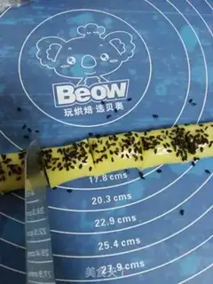Make Lian-Yong step 11