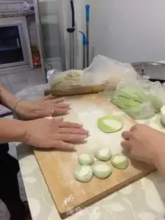 Make Handmade dumplings step 0