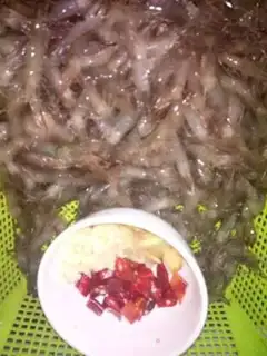 Make Shrimp step 0