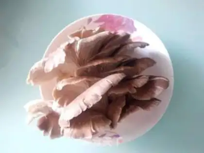 Make Dried mushrooms step 0