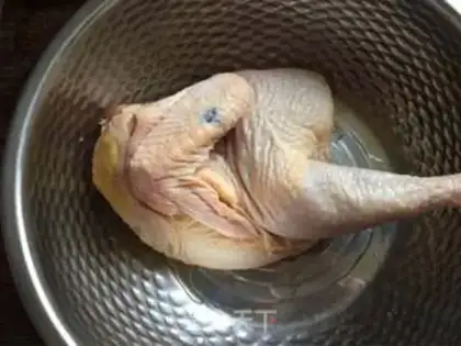 Make Steam chicken step 0
