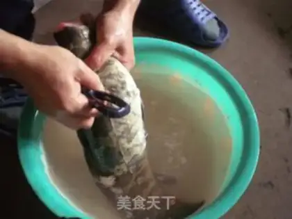 Make Clear the fish step 0