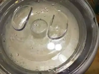 Make Home-made yogurt step 6
