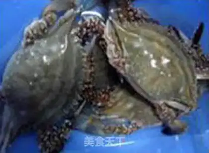 Make Crabs step 0
