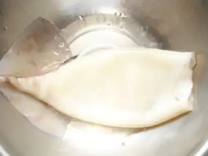Make Squid step 2