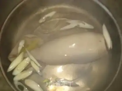 Make Squid step 4