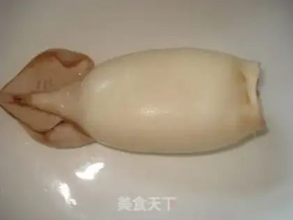 Make Squid step 9