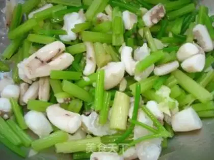 Make Squid step 10