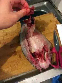 Make Fried bass step 5