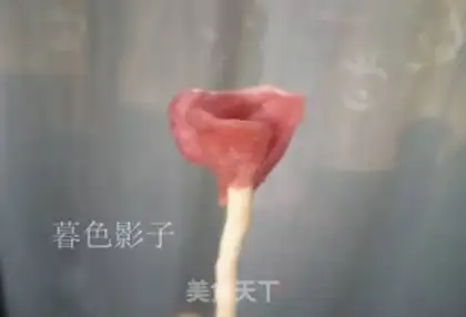 Make Seng Mei step 5
