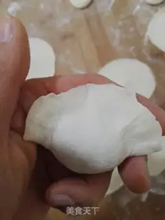 Make Roach pork dumplings step 9