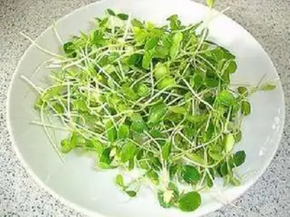 Make The fragrance sprouts step 0