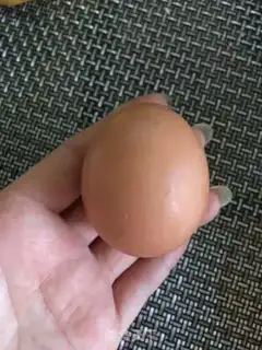 Make Toast step 0