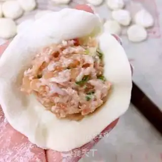 Make A radish pork dumpling step 9